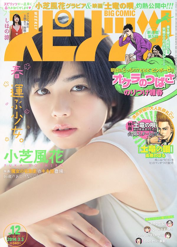 [Weekly Big Comic Spirits] Сяошиба Фухуа Рё Шихоно, 2014 №12, Фото-журнал