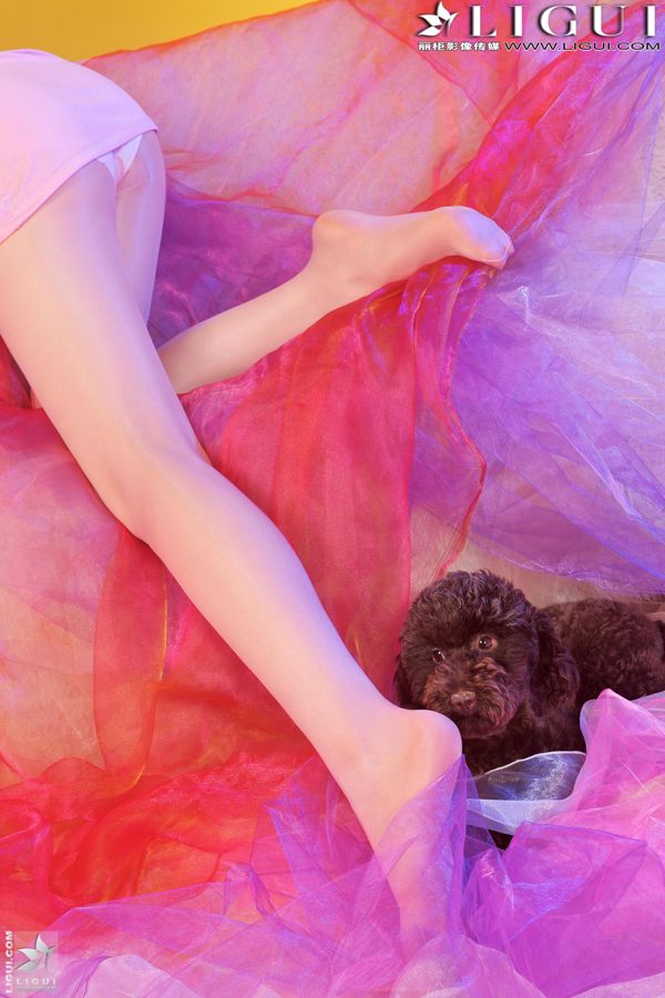 Model Mitsuru 《Kiashi Reflexology》 Top and bottom complete works [丽柜 贵 贵foot LiGui]